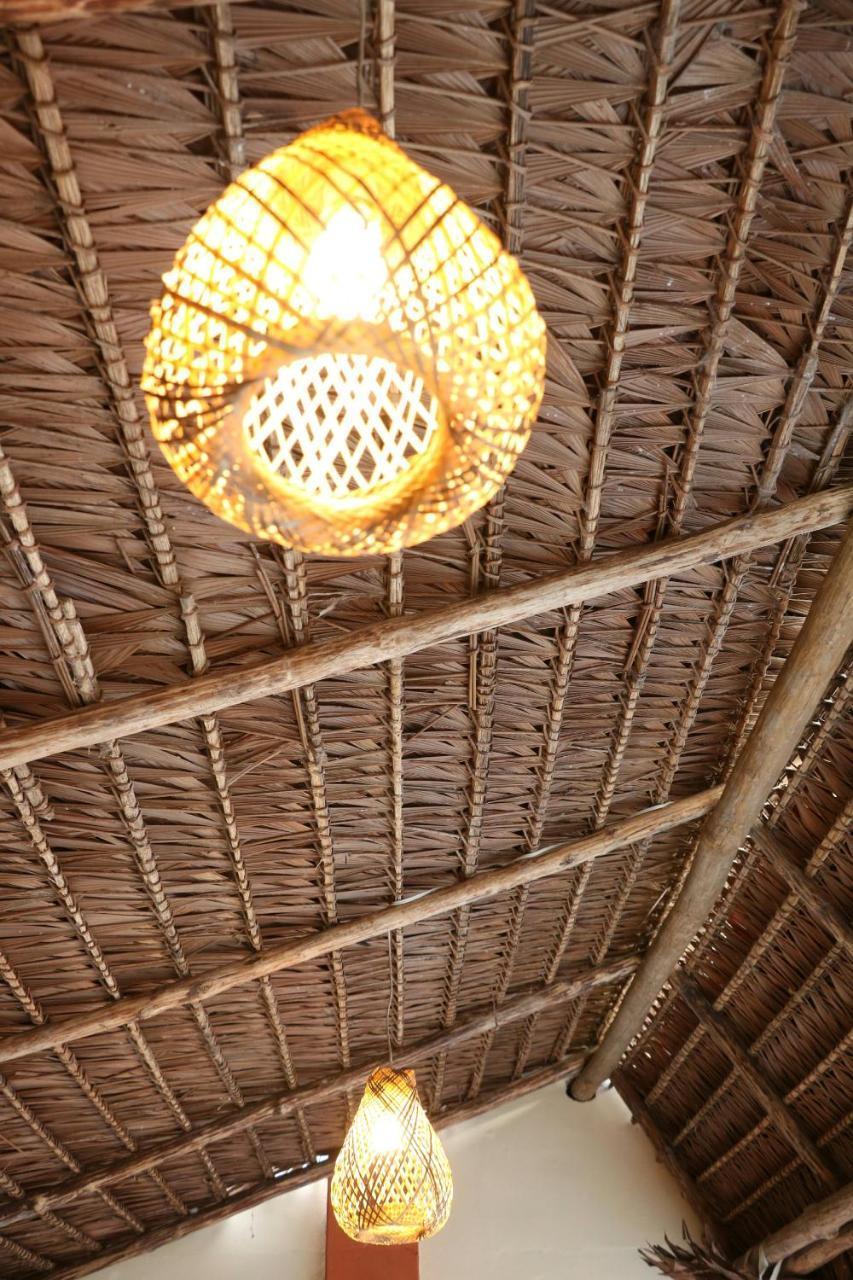 بيت شباب The Amazon Within إكيتوس المظهر الخارجي الصورة